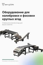 Сортировочно-калибровочная и фасовочная линия для круглой ягоды